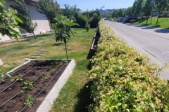 Microsoft Word - Mesa Nurol Ye_ilyaka Koro